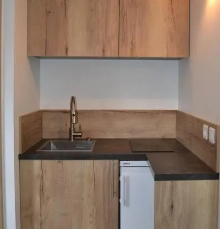 Apartment Le Filaterie Sous Les Toits Annecy